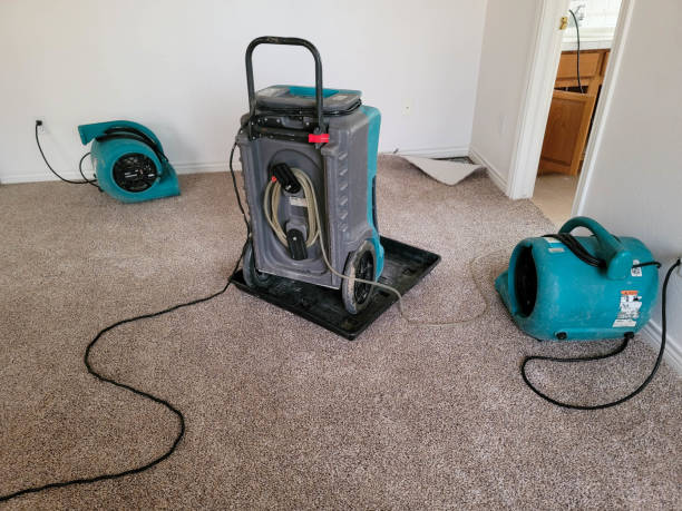 Best Local water damage restoration  in Iola, KS