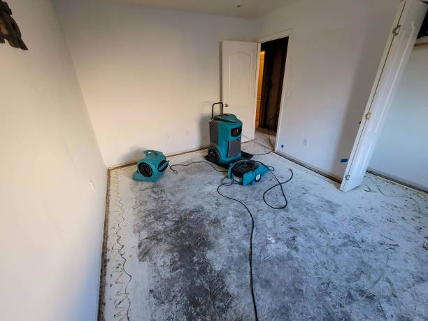 Best Fire Damage Restoration  in Iola, KS