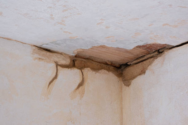 Best Flooded house restoration  in Iola, KS