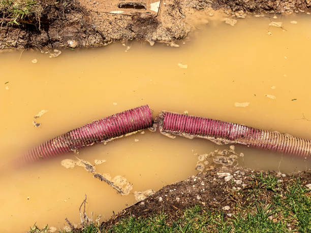 Best Sewage cleanup and water damage restoration  in Iola, KS