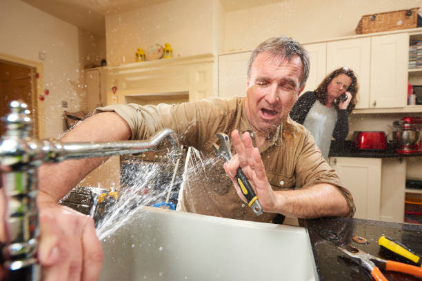 Best Mold removal after water damage  in Iola, KS